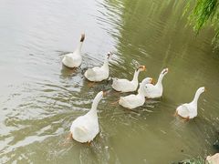 -上海影视乐园