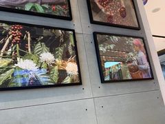-同步齿科·数字化正畸种植口腔中心(珠海店)