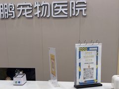 -瑞鹏宠物医院·骨外科·心肾科·肿瘤科(九亭店)
