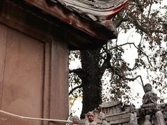 -金堂县云顶石城风景区