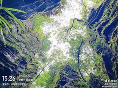 -梭布垭石林景区