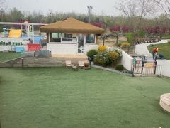 -爪吧宠物乐园 (温榆河示范区店)