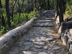 -阳台山自然风景区