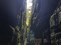 -梭布垭石林景区