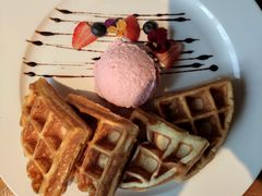 -百好乐宠物友好餐厅(朝外大街店)