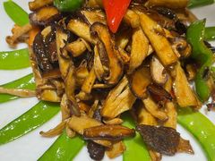 -马白开来特色羊排揪片子  (总店)