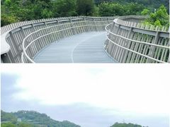 -福道