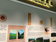 -中国茶叶博物馆(双峰馆区)