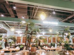 -春润大地海南椰子鸡(沙井京基百纳广场店)