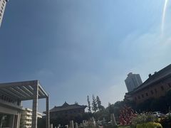 -南京钟山宾馆(江苏省会议中心)