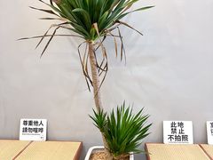 -山江咖啡店