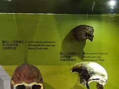 -正佳自然科学博物馆