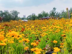 -兴安湖生态运动公园