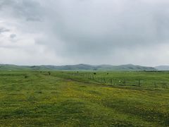 -乌兰布统草原