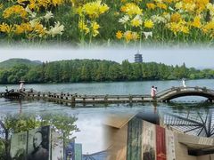 -杭州植物园