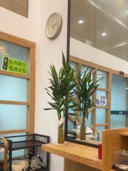 -章光101防脱养发荟