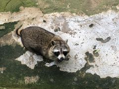 -杭州野生动物世界