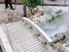 -蘇河湾·新鲁菜·泰山宴(泰山店)