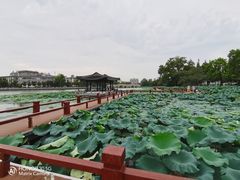 -南通濠河风景名胜区