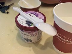-哈根达斯(扬州瘦西湖店)