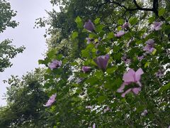 -长辛店二七公园