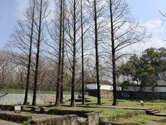 -敬亭山风景名胜区