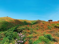 -大围山国家森林公园
