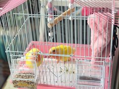 -证大大拇指广场(芳甸路店)