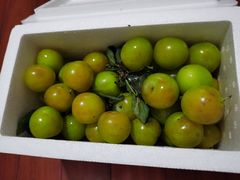 -呼吸森林·生态农庄农家乐私房菜