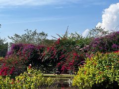 -中国科学院西双版纳热带植物园