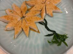 -丁老爷子苏香圆