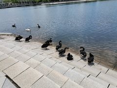 -长春世界雕塑园冰雪艺术天地