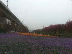 -秀丽东方
