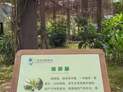 -东莞植物园