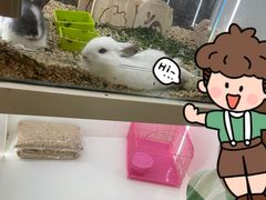-永旺梦乐城(金银潭店)