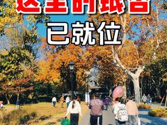 -中山公园