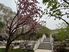 -河南省黄河迎宾馆