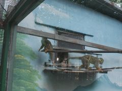 -五龙山野生动物王国