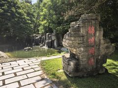 -沈阳植物园