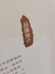-熙朵美学植发连锁