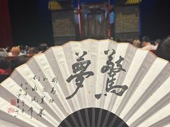 -合肥大剧院