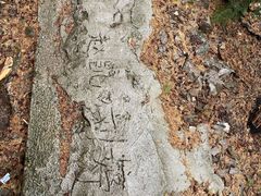-云龙山