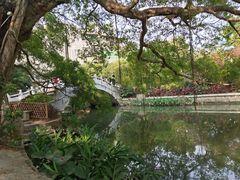 -小洲村