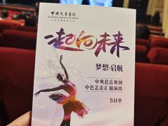 -中央芭蕾舞团·中芭艺蕾(酒仙桥明星校区)