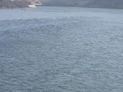 -黄河小浪底水利枢纽风景区