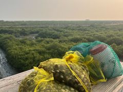 -北海金海湾红树林生态旅游区