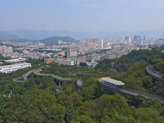 -福道