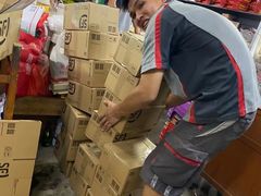 -鼎香皇高佬苏裹蒸粽