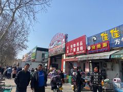 -开封杨丰宠物乐园