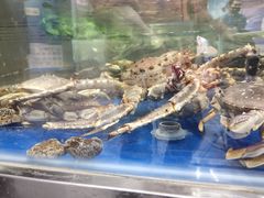 -盒马鲜生(悦峰店)